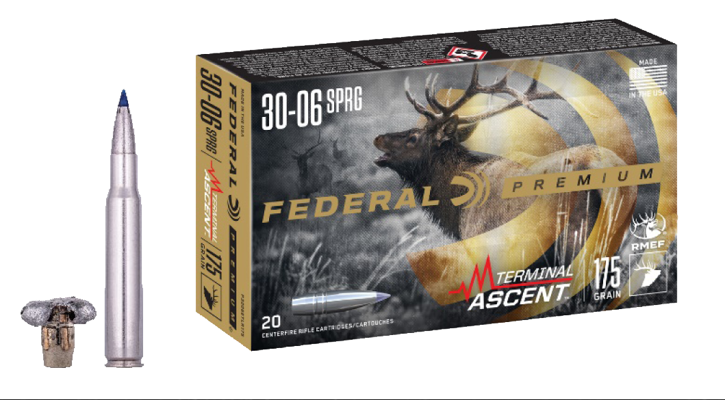 Federal Premium Brass .30-06 175 Grain 20-Rounds TA