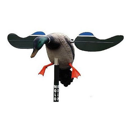 Mojo Hunt Wise HW4401 Baby DRAKe 6V Decoy