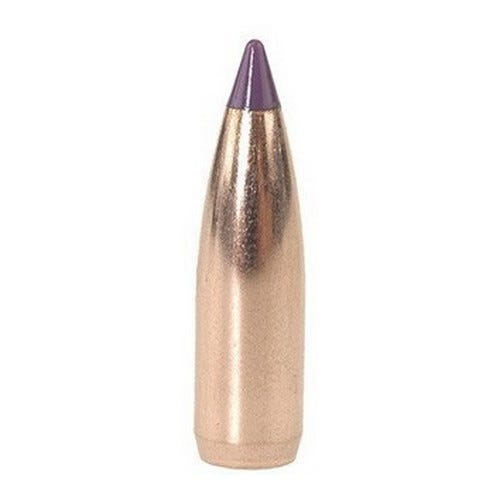Nosler Ammunition 39532 Balistic VAR 6MM 70 SPTZR 100