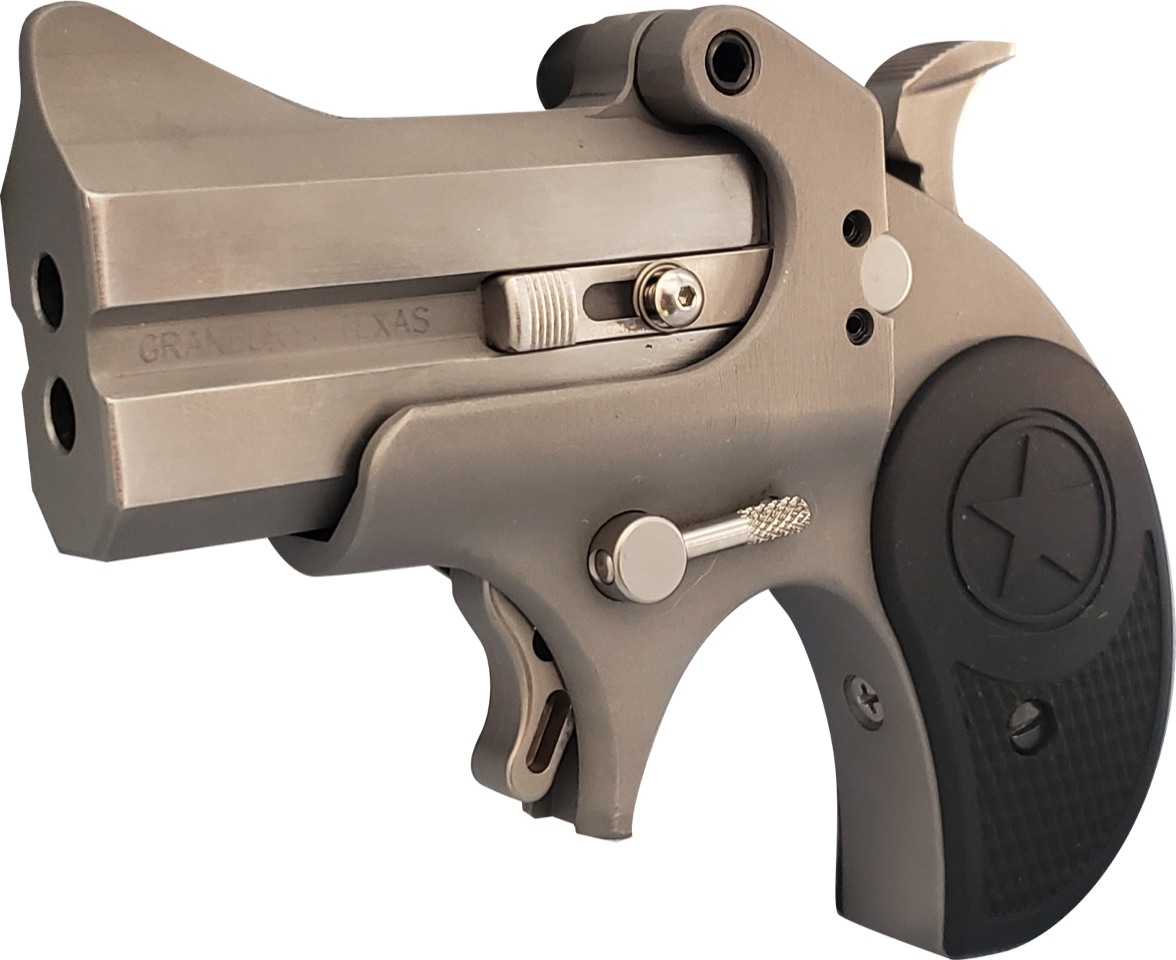Bond Arms Rawhide Matte Stainless .22 LR 2.5" Barrel 2-Rounds