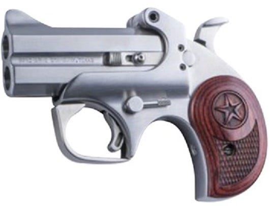 Bond Arms Texas Defender Stainless .40 SW 3" Barrel 2-Rounds