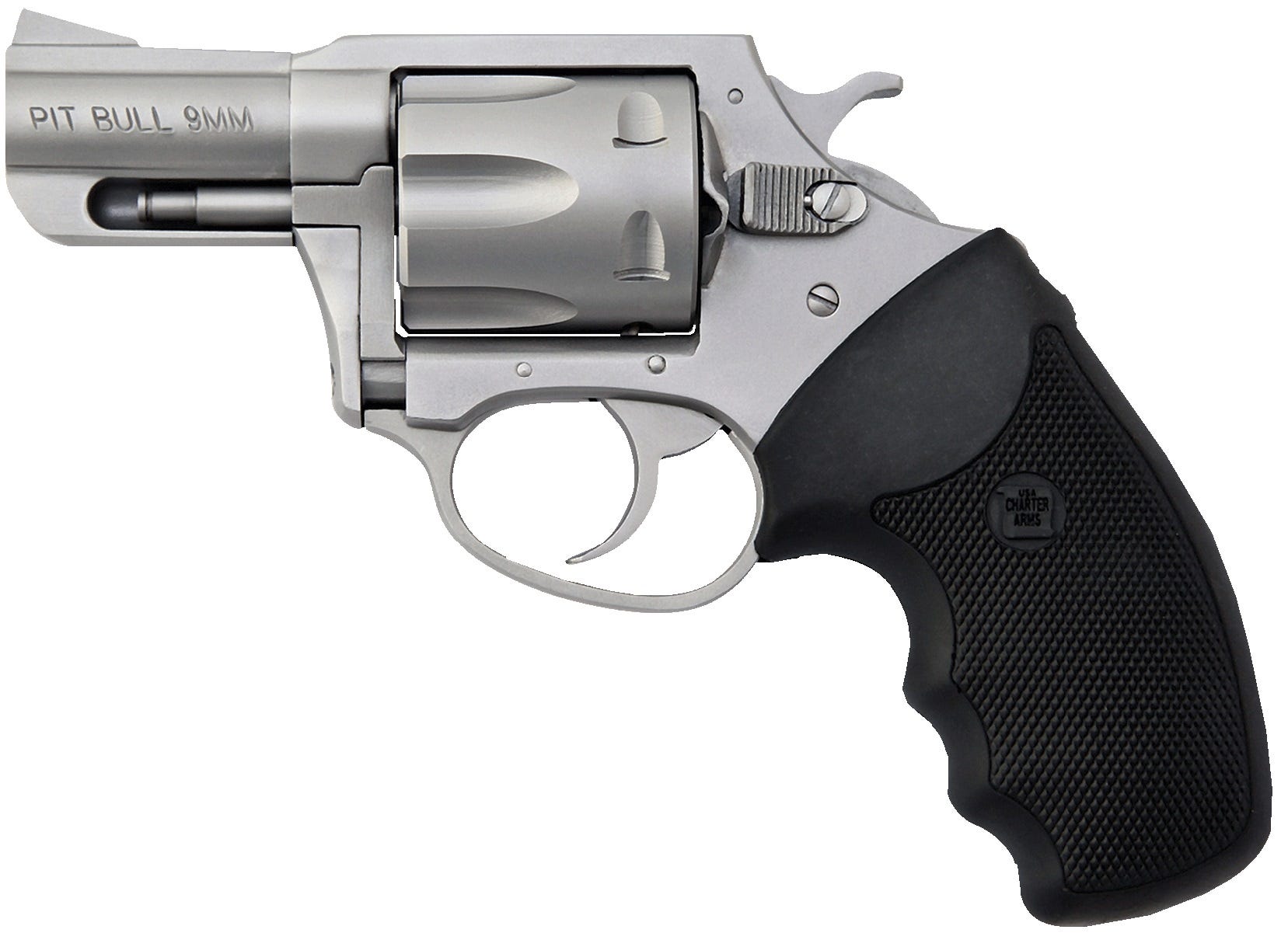 Charter Arms Pitbull Stainless 9mm 2" Barrel 5-Rounds - Image 2