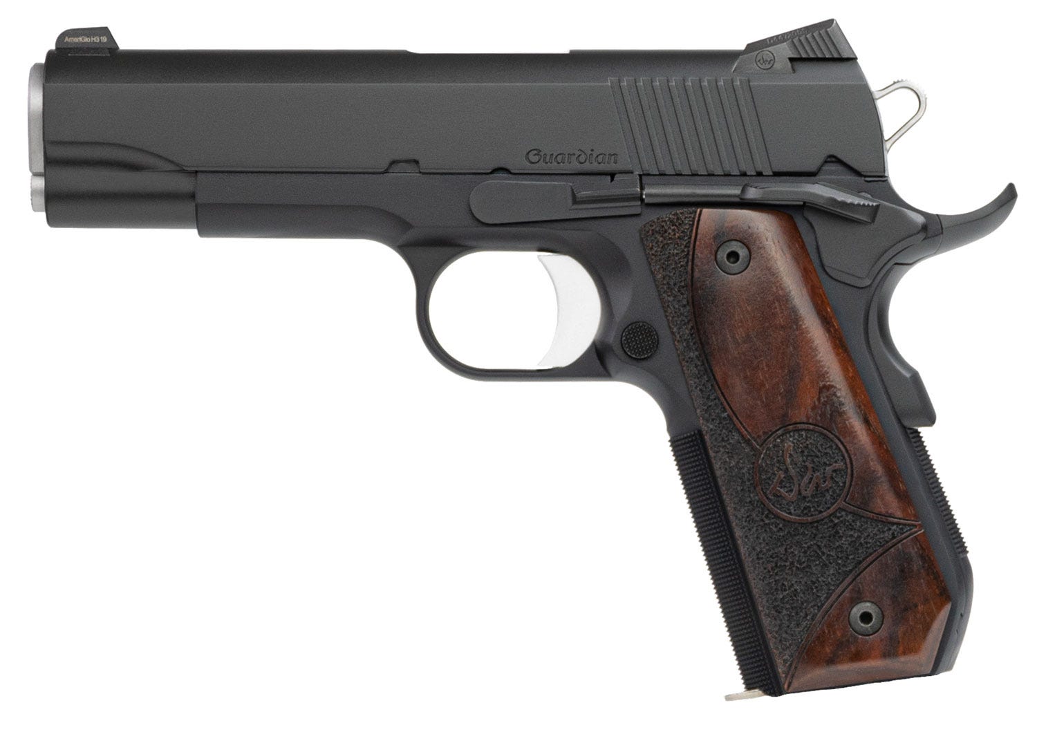 Dan Wesson Guardian 9mm 4.25" Barrel 9-Rounds Night Sights - Image 2